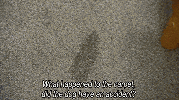 hotel hell batman GIF by Fox TV