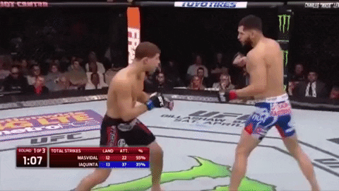 Combat_Sports_Fan giphygifmaker GIF