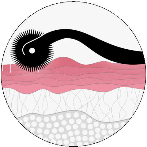 Beauty Wow Sticker by SecretLips