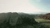 texas GIF