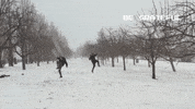 Martial Arts Win GIF by Casol