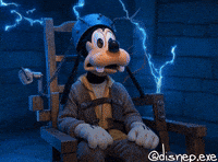 What The Hell Wtf GIF