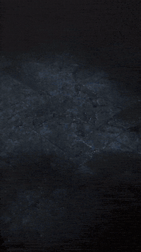 Sololeveling GIF by Youtooz