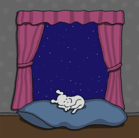 chippythedog giphyupload chippythedog GIF