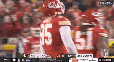 National Football League GIF by NFL