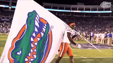 florida GIF