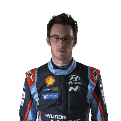 disappointment hyundai Sticker by FIA World Rally Championship