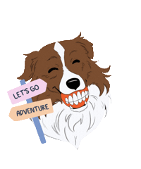 Roykim Sticker