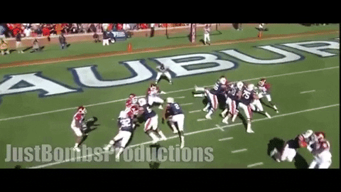 Jmckech giphygifmaker cam auburn cam newton GIF