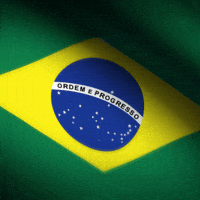 Rio De Janeiro Celebration GIF by xponentialdesign