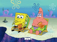 season 6 porous pockets GIF by SpongeBob SquarePants