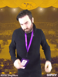wkcdogshow GIF by Westminster Kennel Club