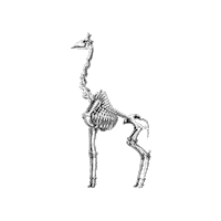 Black And White Death Sticker by The Wild Curiosity