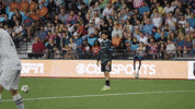 GIF by Switchbacks FC