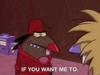 nickrewind nicksplat angry beavers GIF