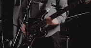 mergerecords cat modelo bob dylan titus GIF