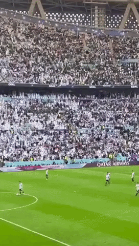 Saudi Arabia Fans Celebrate Winner vs Argentina