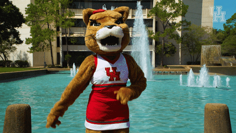 houstoncougars giphyupload houston sasha gocoogs GIF