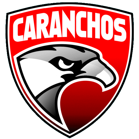 caranchosrugby sports rugby uruguay deporte Sticker