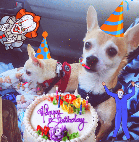 yoremomm8822 giphygifmaker giphyattribution happy birthday nat GIF