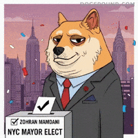 Ballot Box Win GIF by Doge Pound