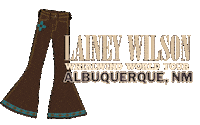 New Mexico Albuquerque Sticker by Lainey Wilson