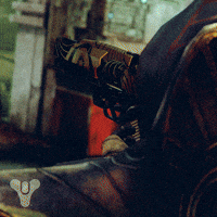 Destiny 2 Trials GIF by DestinyTheGame