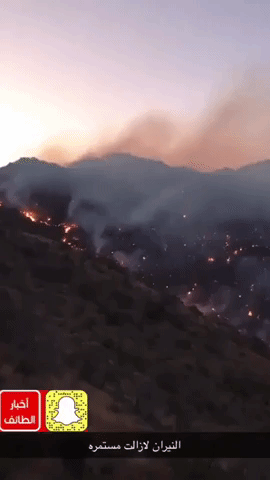 Wildfire Breaks out in Saudi Arabia's Taif Region