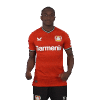 Football Yes Sticker by Bayer 04 Leverkusen