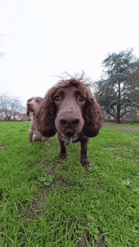 Go Pro Running GIF by Maryanne Chisholm - MCArtist
