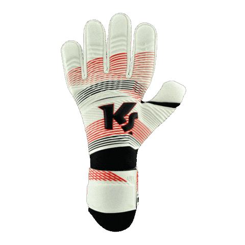 Dominance Goalkeeper Gloves Sticker by KEEPERsport