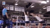 volleyball byu GIF by NCAA Championships