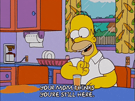 homer simpson episode 6 GIF