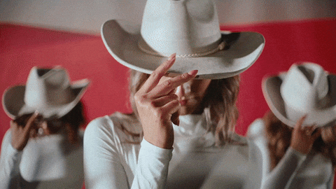 Drunk Country Music GIF by Josh Ross