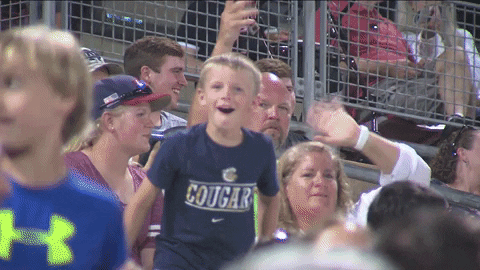 minor league baseball GIF by Kane County Cougars