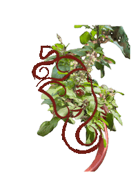 Ganesh Chaturthi India Sticker by Global Tara Entertainment