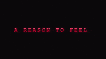 South Africa Lol GIF by A Reason To Feel