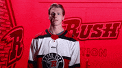 Excited Lets Go GIF by Rapid City Rush