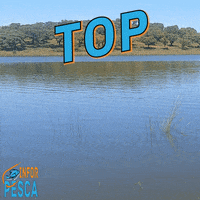 InForPesca  GIF