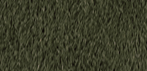 Lacrosse Roll Pards GIF by Lafayette Leopards