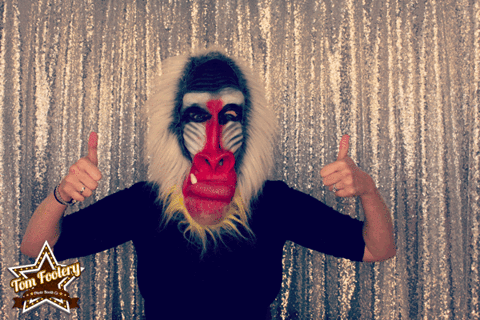 fun wedding GIF by Tom Foolery Photo Booth