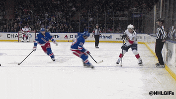 Assist Florida Panthers GIF by NHL