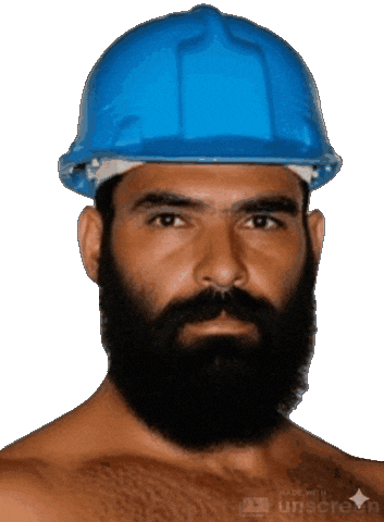 Gay Bear Sticker by Database數據