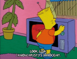 Season 1 GIF by The Simpsons