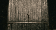 fantastic mr fox GIF by Tech Noir