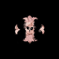 IRISCOSMETICS makeup vegan cosmetics iris GIF