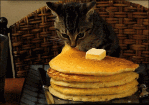 Video gif. Cat nibbles at a stack of pancakes, then slides the top pancake under the table.