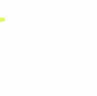 Participation