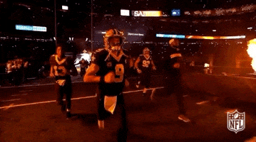2018 Nfl Football GIF by NFL