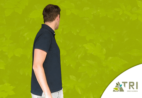 Boom Plant GIF by TRI Groei in Groen